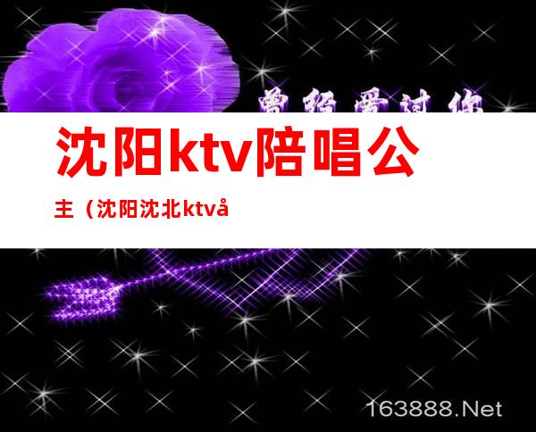 沈阳ktv陪唱公主（沈阳沈北ktv公主）