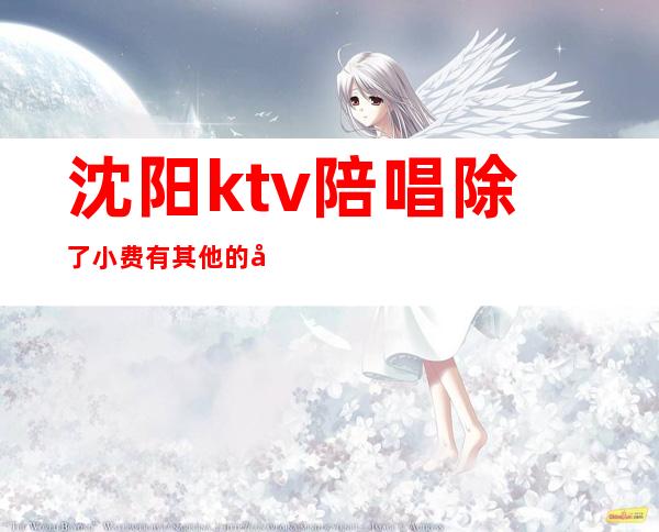 沈阳ktv陪唱除了小费有其他的吗（沈阳ktv陪唱价位）