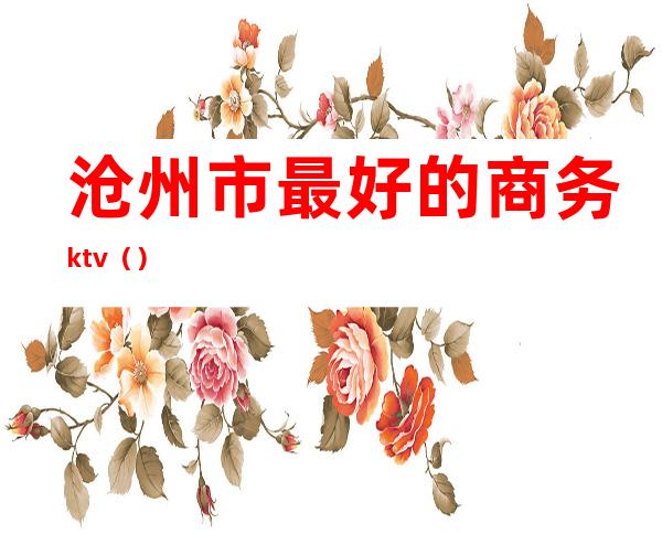 沧州市最好的商务ktv（）