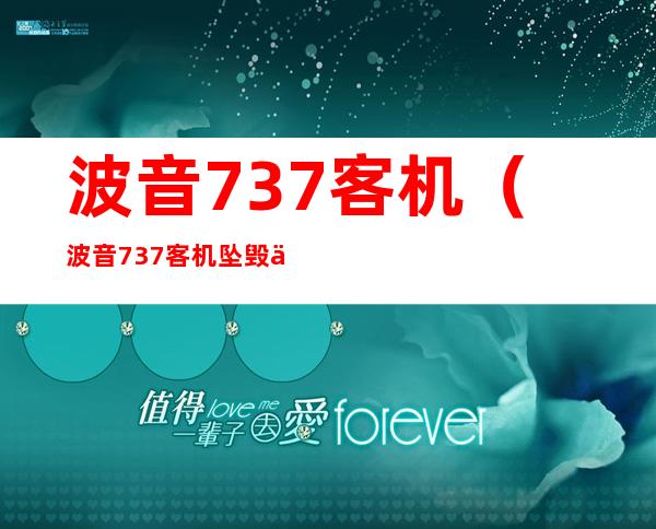 波音737客机（波音737客机坠毁事件原因）