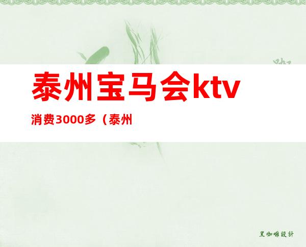 泰州宝马会ktv消费3000多（泰州哪个ktv最开放）