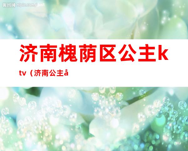 济南槐荫区公主ktv（济南公主坟）