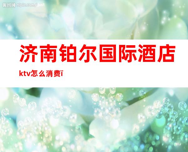 济南铂尔国际酒店ktv怎么消费（济南铂尔国际酒店ktv电话）