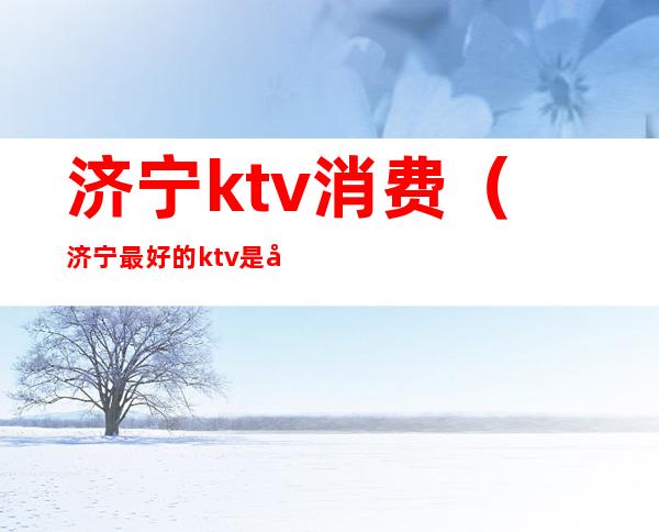 济宁ktv消费（济宁最好的ktv是哪里）