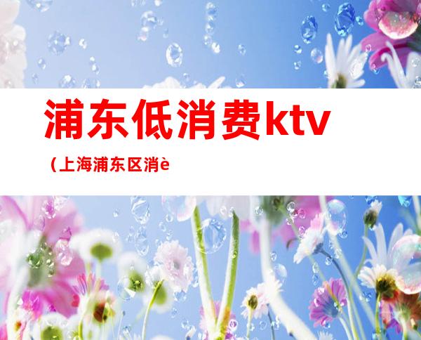 浦东低消费ktv（上海浦东区消费水平）