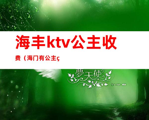 海丰ktv公主收费（海门有公主的ktv）