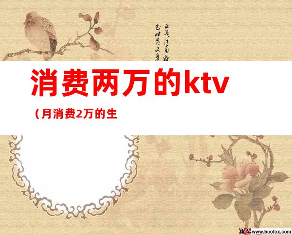 消费两万的ktv（月消费2万的生活）