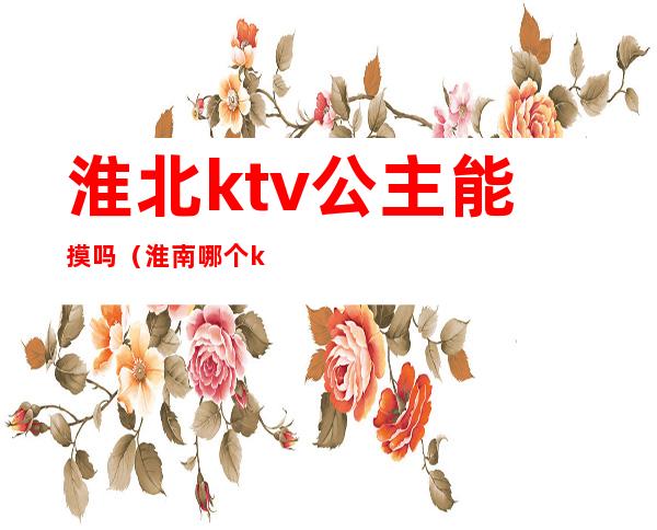 淮北ktv公主能摸吗（淮南哪个ktv有公主）