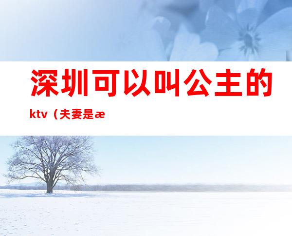 深圳可以叫公主的ktv（夫妻是深圳公主）