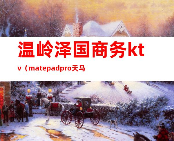 温岭泽国商务ktv（matepadpro天马屏）