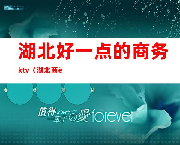 湖北好一点的商务ktv（湖北商贸好吗）