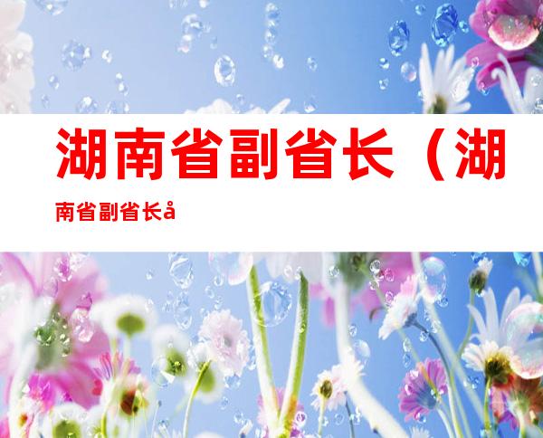 湖南省副省长（湖南省副省长国文）