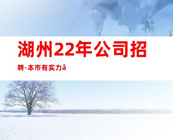 湖州22年公司招聘-本市有实力团队