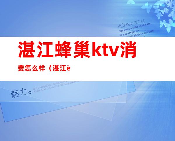 湛江蜂巢ktv消费怎么样（湛江蜂巢ktv消费怎么样）