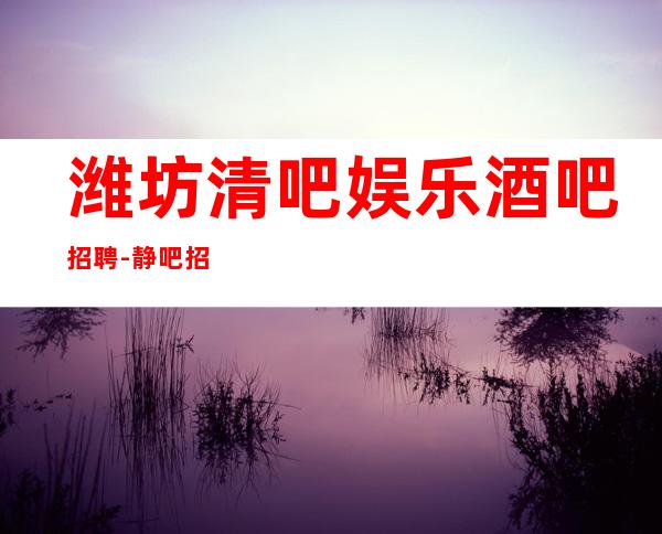潍坊清吧娱乐酒吧招聘-静吧招聘-促销员