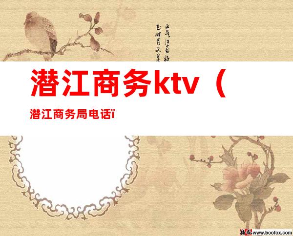 潜江商务ktv（潜江商务局电话）