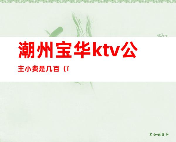 潮州宝华ktv公主小费是几百（）