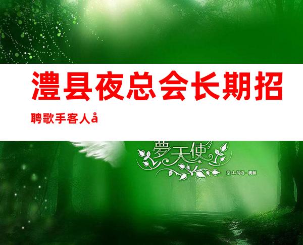 澧县夜总会长期招聘歌手/客人喝酒不厉害/赚速度来