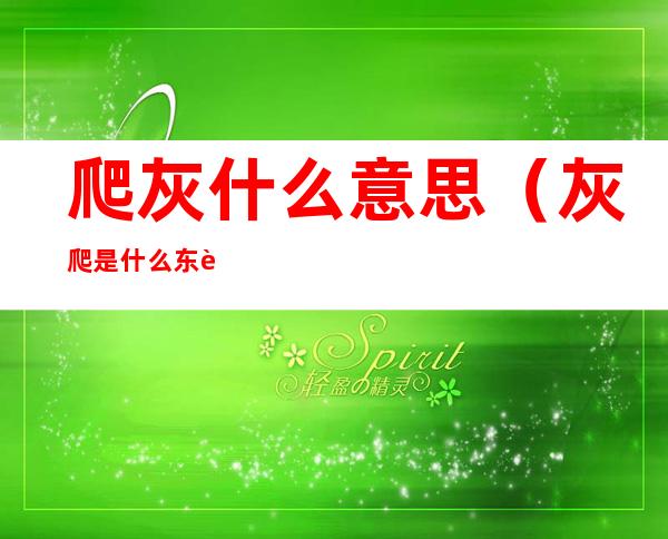 爬灰什么意思（灰爬是什么东西）