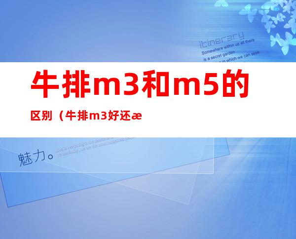 牛排m3和m5的区别（牛排m3好还是m5好）