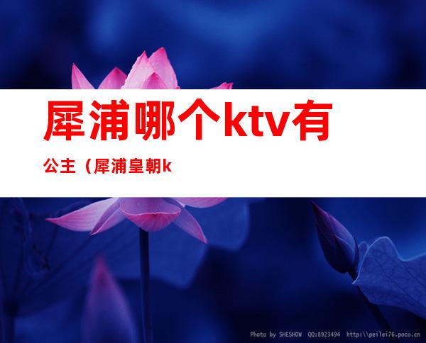 犀浦哪个ktv有公主（犀浦皇朝ktv小妹如何）