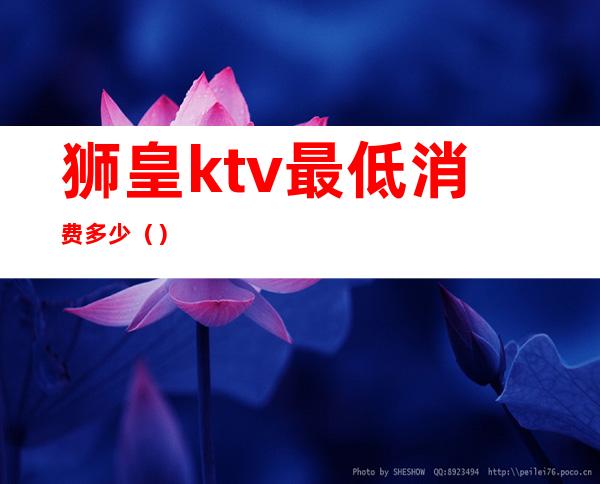 狮皇ktv最低消费多少（）