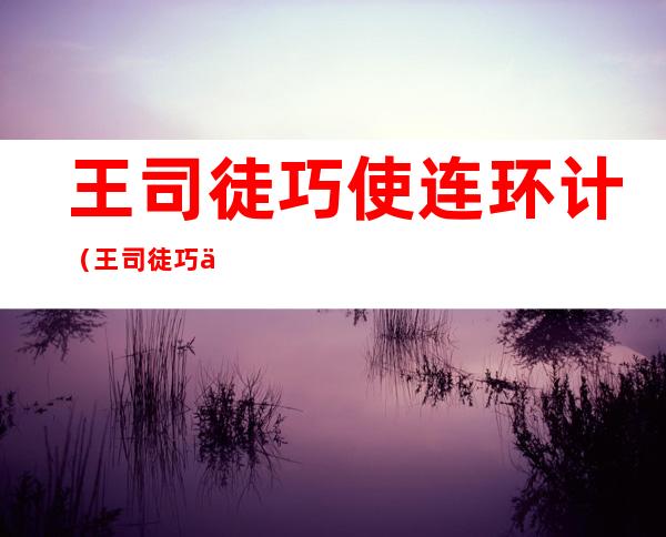 王司徒巧使连环计（王司徒巧使连环计读后感200字）