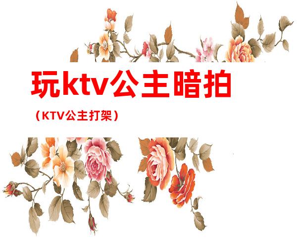 玩ktv公主暗拍（KTV公主打架）