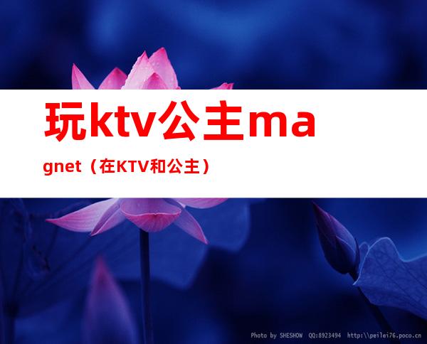 玩ktv公主magnet（在KTV和公主）