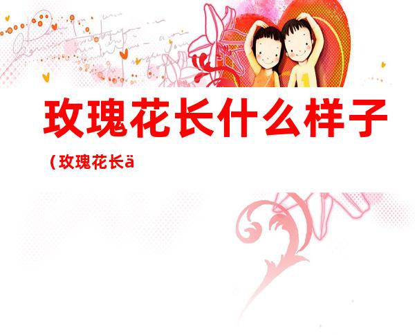 玫瑰花长什么样子（玫瑰花长什么样子图片,三年级下册31字）