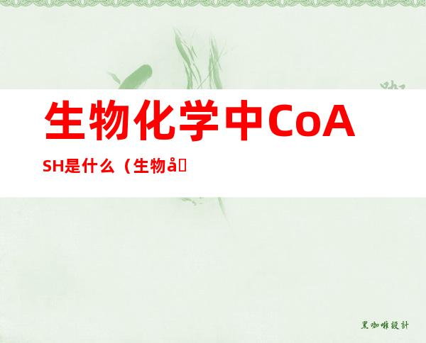 生物化学中CoASH是什么（生物化学CoASH）