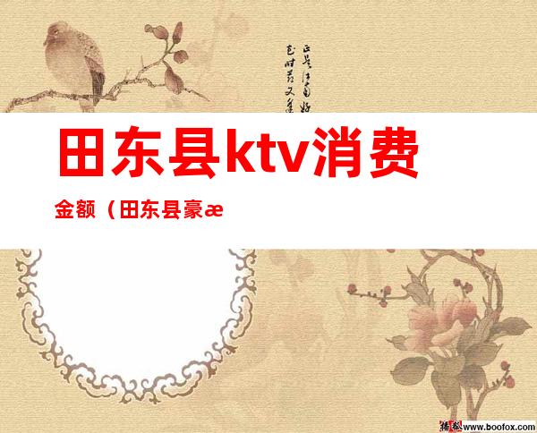 田东县ktv消费金额（田东县豪歌迪KTV）