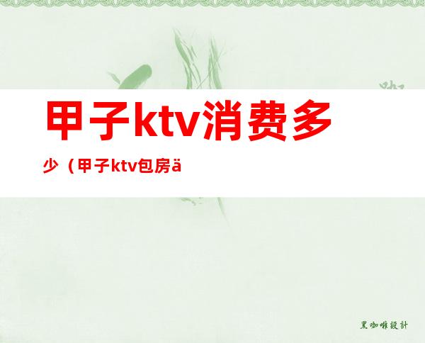 甲子ktv消费多少（甲子ktv包房价格）