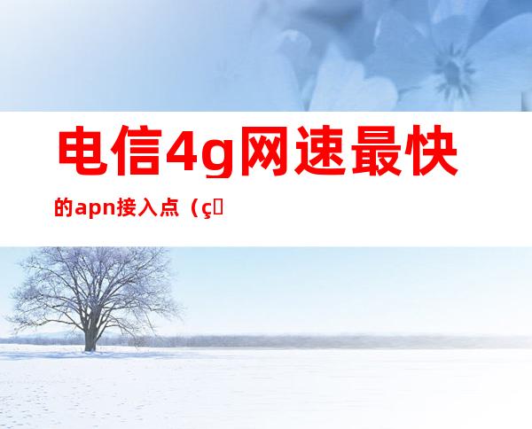 电信4g网速最快的apn接入点（电信4g网速最快的apn接入点测试）