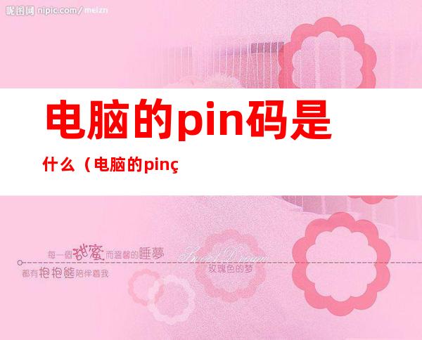 电脑的pin码是什么（电脑的pin码是开机密码吗）