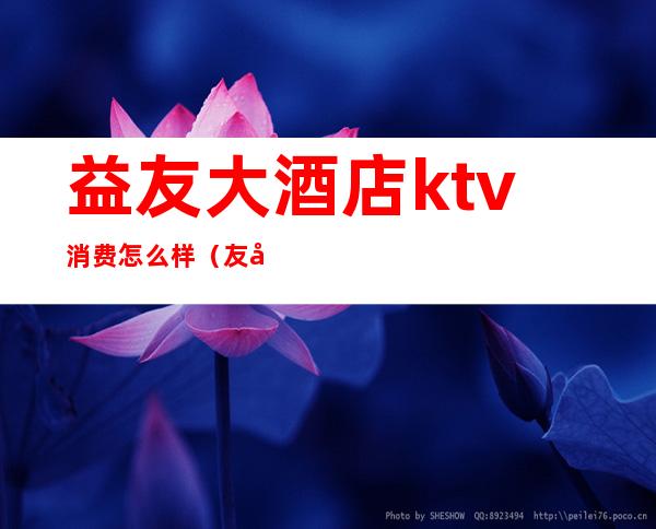 益友大酒店ktv消费怎么样（友唱ktv营业时间）