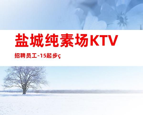 盐城纯素场KTV招聘员工-15起步生意好放心加入