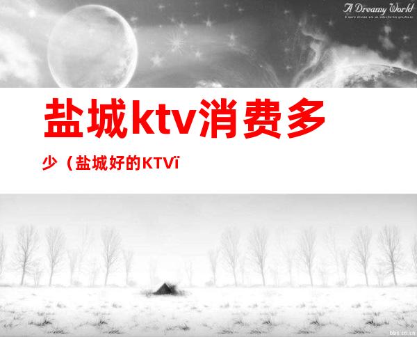 盐城ktv消费多少（盐城好的KTV）