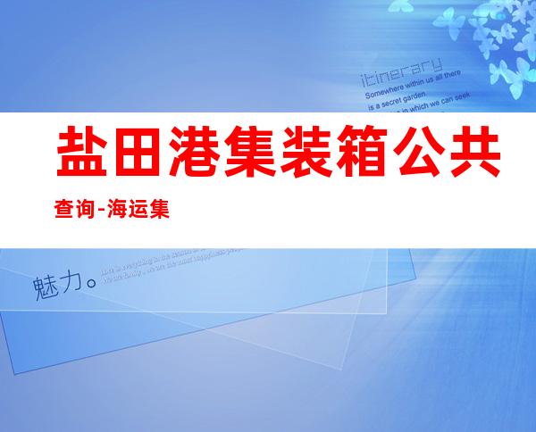 盐田港集装箱公共查询-海运集装箱怎么查询