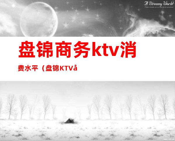 盘锦商务ktv消费水平（盘锦KTV小费多少）