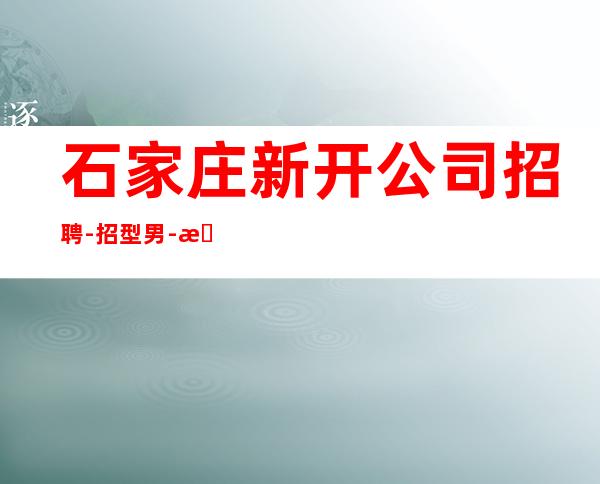 石家庄新开公司招聘-招型男-无任何风险以及费用