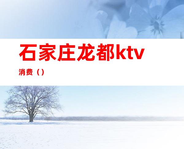 石家庄龙都ktv消费（）