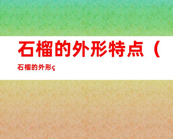 石榴的外形特点（石榴的外形特点的句子）