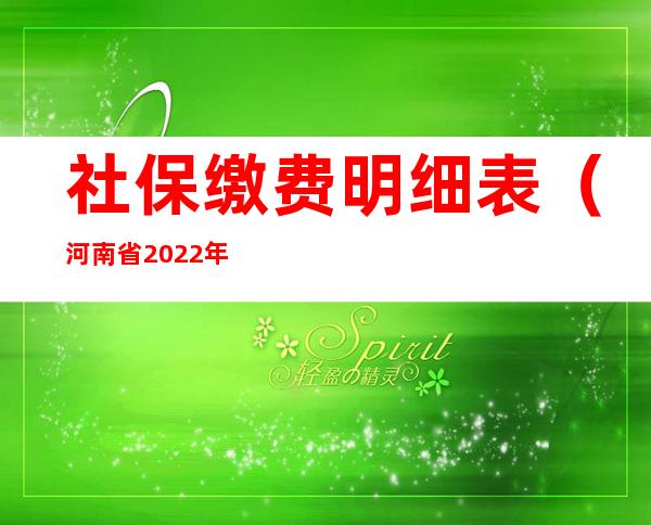 社保缴费明细表（河南省2022年社保缴费明细表）