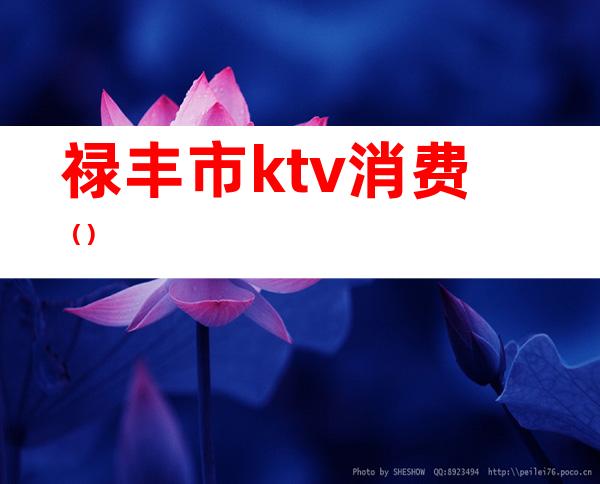 禄丰市ktv消费（）