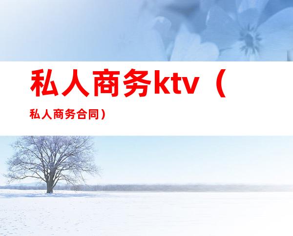 私人商务ktv（私人商务合同）