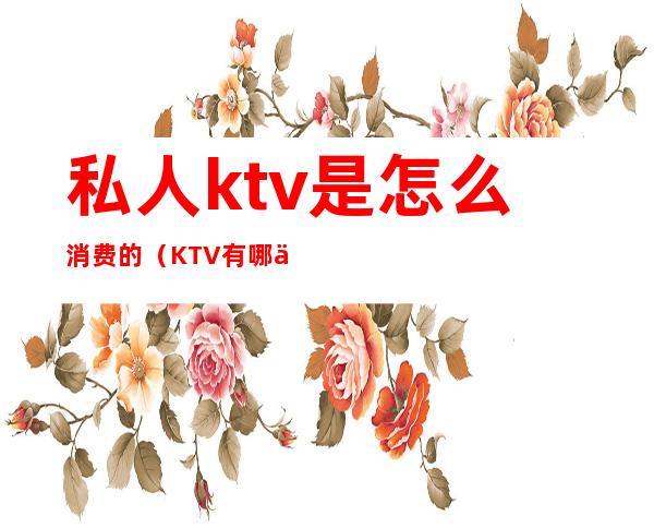 私人ktv是怎么消费的（KTV有哪些消费）