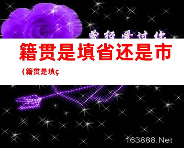 籍贯是填省还是市（籍贯是填省还是市属狗的今年几岁）