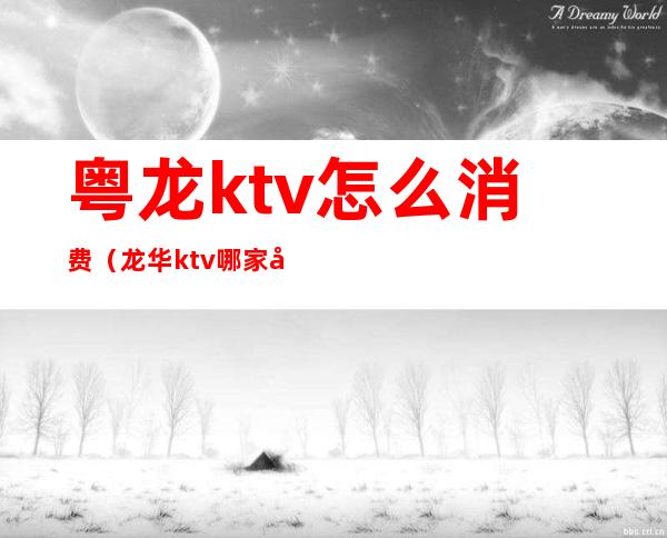 粤龙ktv怎么消费（龙华ktv哪家好）