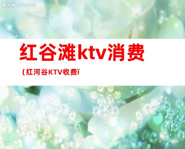 红谷滩ktv消费（红河谷KTV收费）